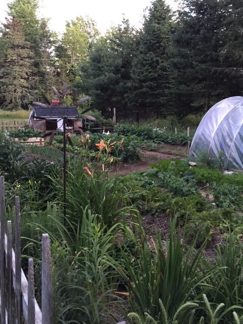 141 Beech Hill Road Mount Desert, ME 04660 - Photo 18 of 113 Little farm area