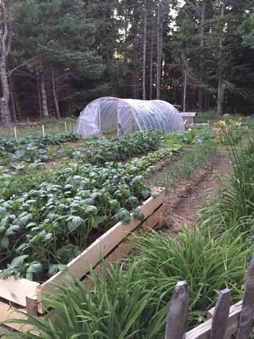 $795,000 | 141 Beech Hill Road, Mount Desert, ME 04660