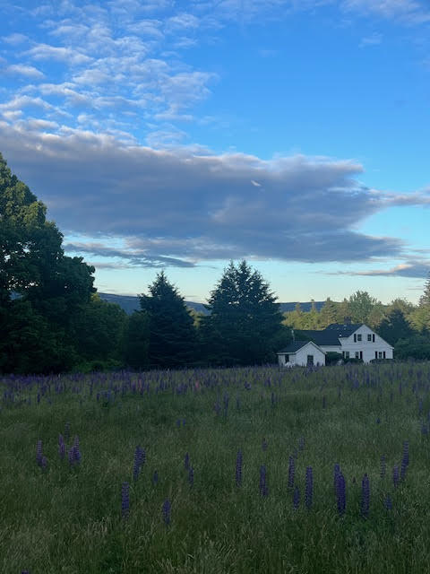 141 Beech Hill Road Mount Desert, ME 04660 - Photo 20 of 113 View from the front