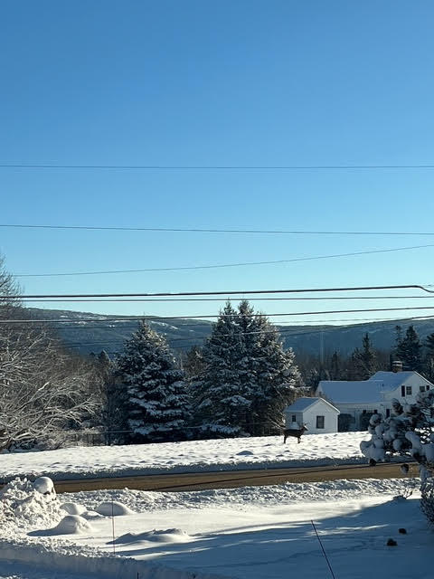 141 Beech Hill Road Mount Desert, ME 04660 - Photo 21 of 113 Winter view