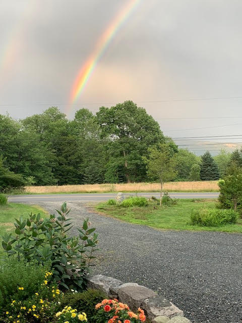 141 Beech Hill Road Mount Desert, ME 04660 - Photo 22 of 113 Stunning