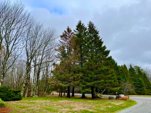 $795,000 | 141 Beech Hill Road, Mount Desert, ME 04660