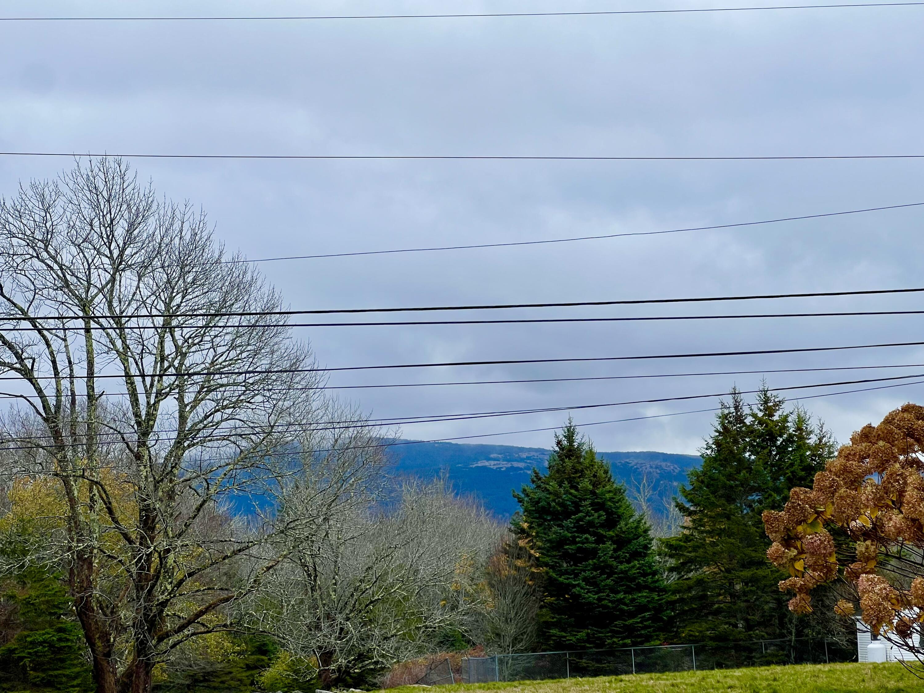 141 Beech Hill Road Mount Desert, ME 04660 - Photo 90 of 113 Front Yard View