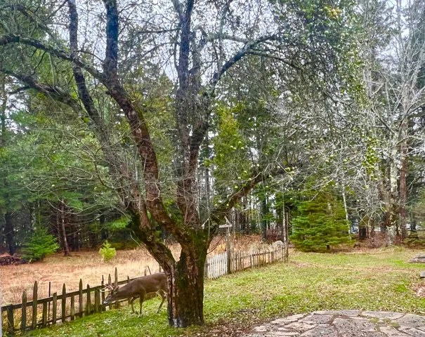 $795,000 | 141 Beech Hill Road, Mount Desert, ME 04660