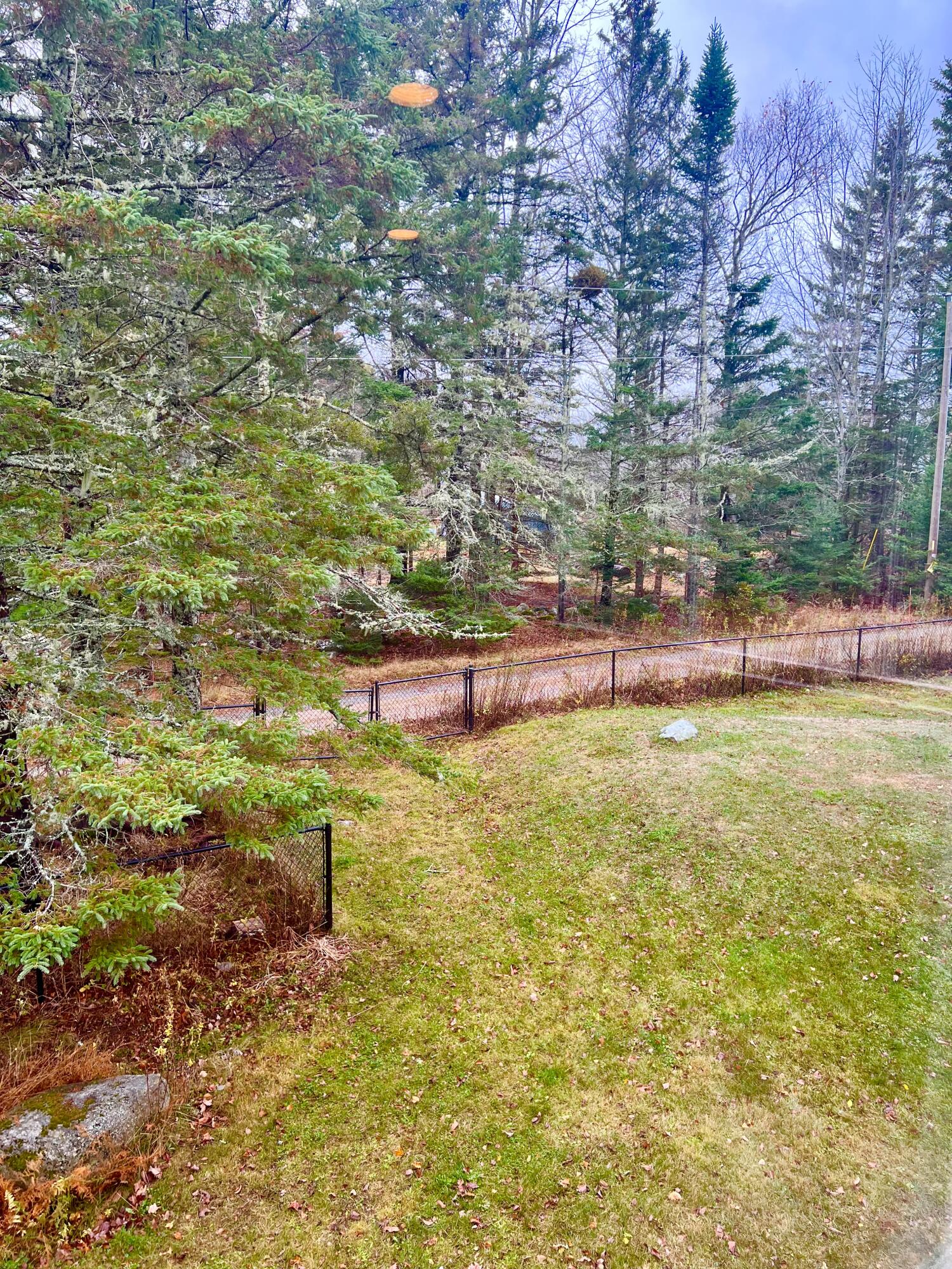 141 Beech Hill Road Mount Desert, ME 04660 - Photo 94 of 113 Back Yard