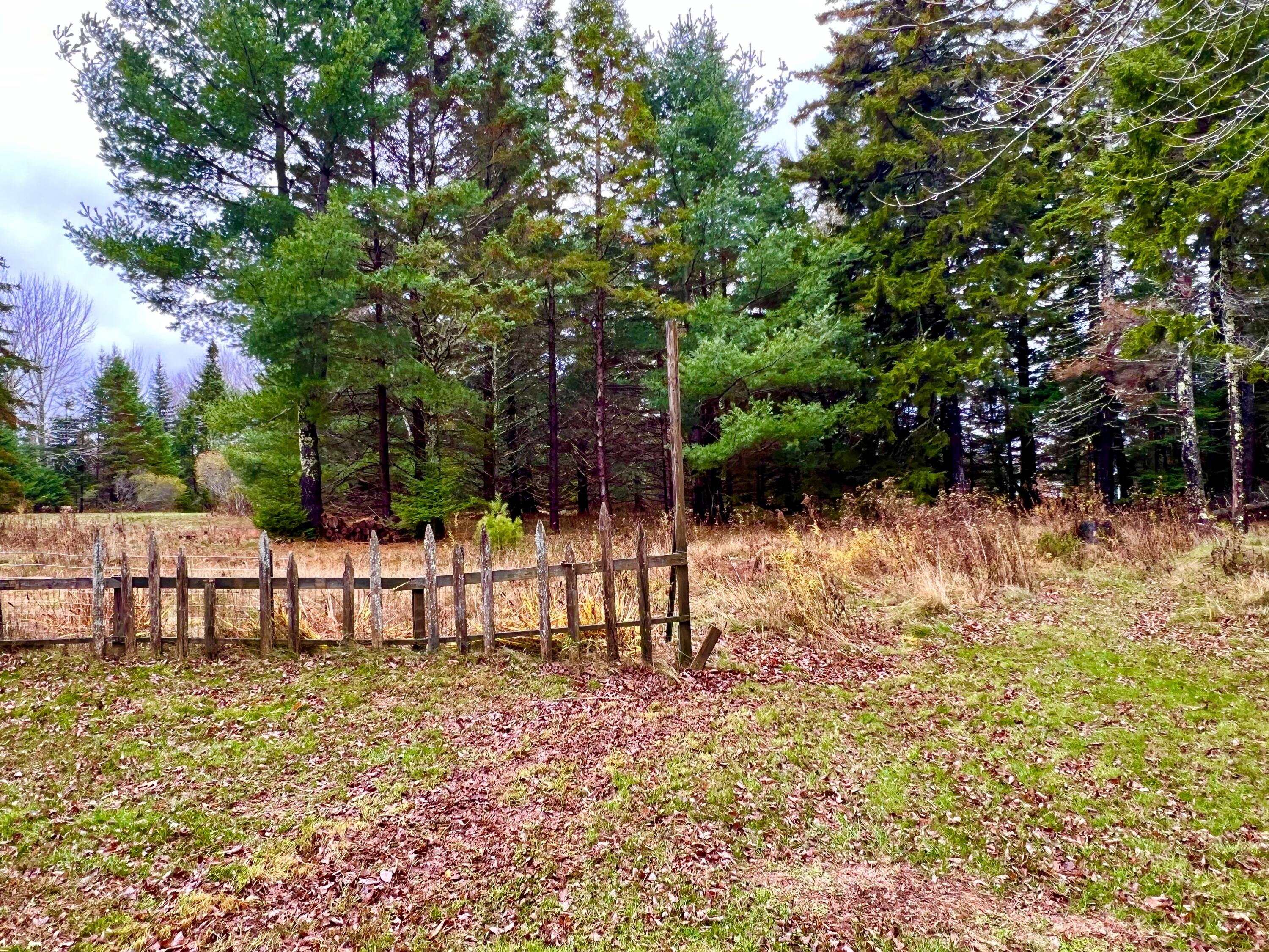 141 Beech Hill Road Mount Desert, ME 04660 - Photo 95 of 113 Back Yard