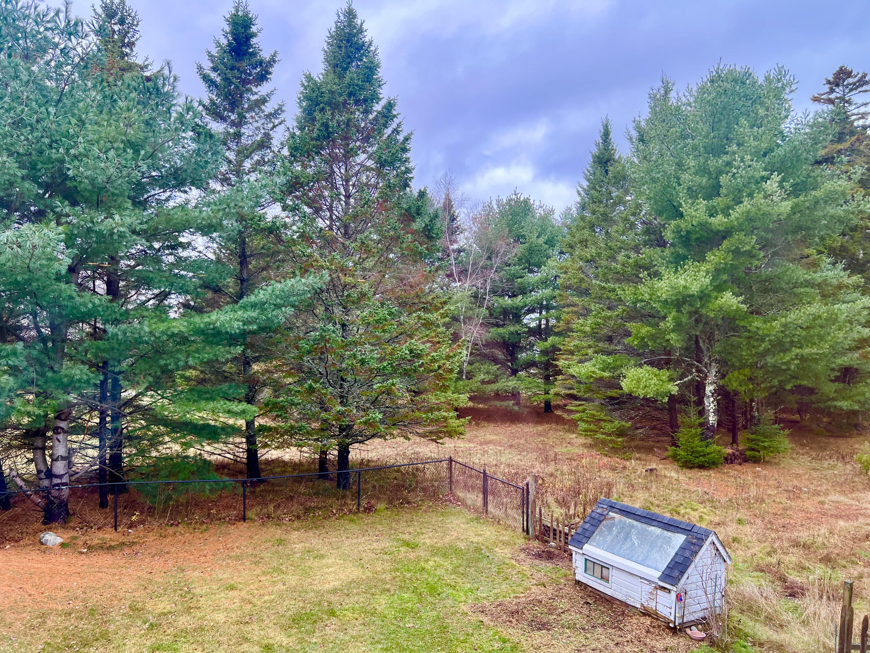 141 Beech Hill Road Mount Desert, ME 04660 - Photo 97 of 113 Woods / Land