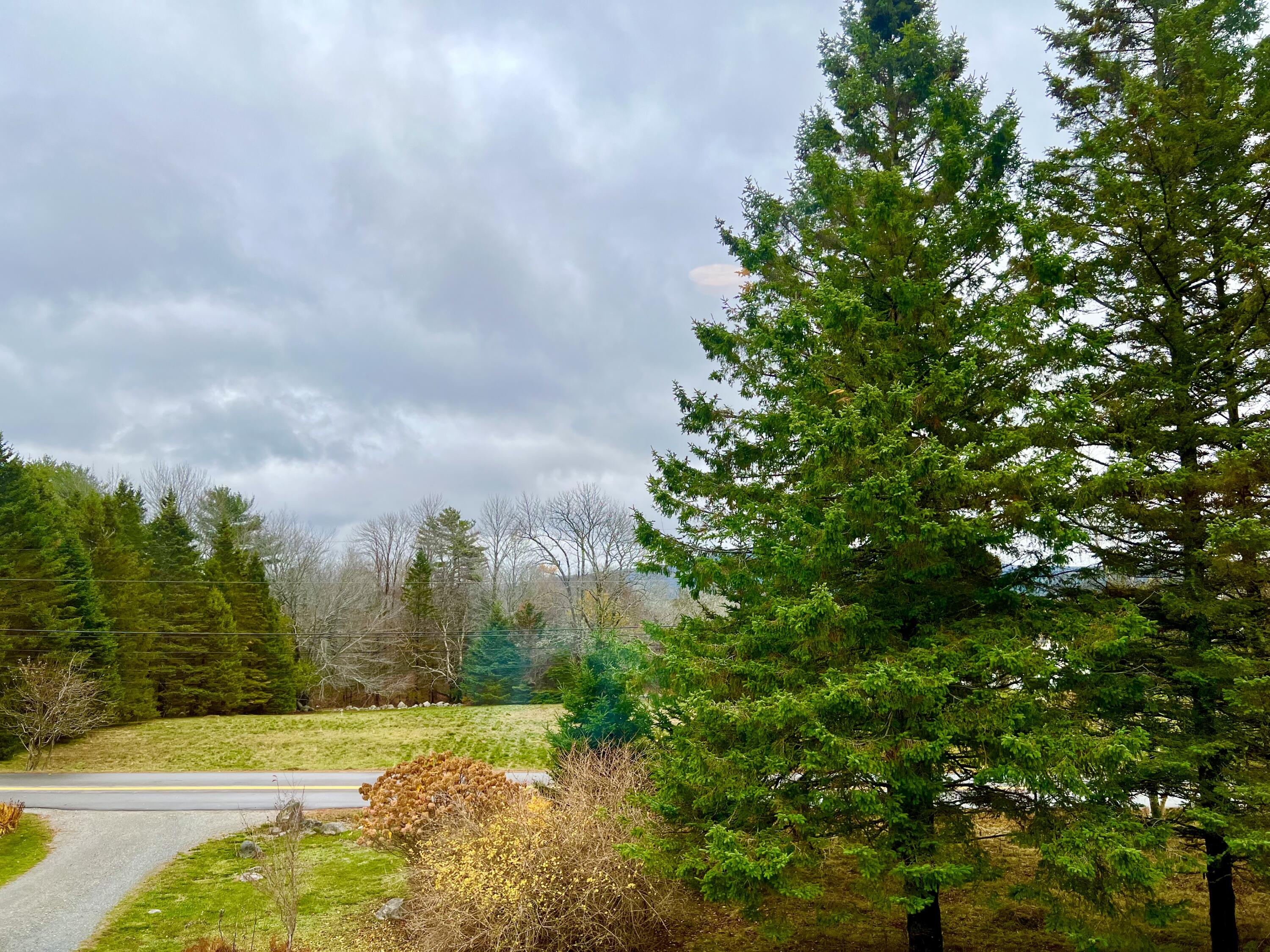 141 Beech Hill Road Mount Desert, ME 04660 - Photo 98 of 113 Looking towards the driveway