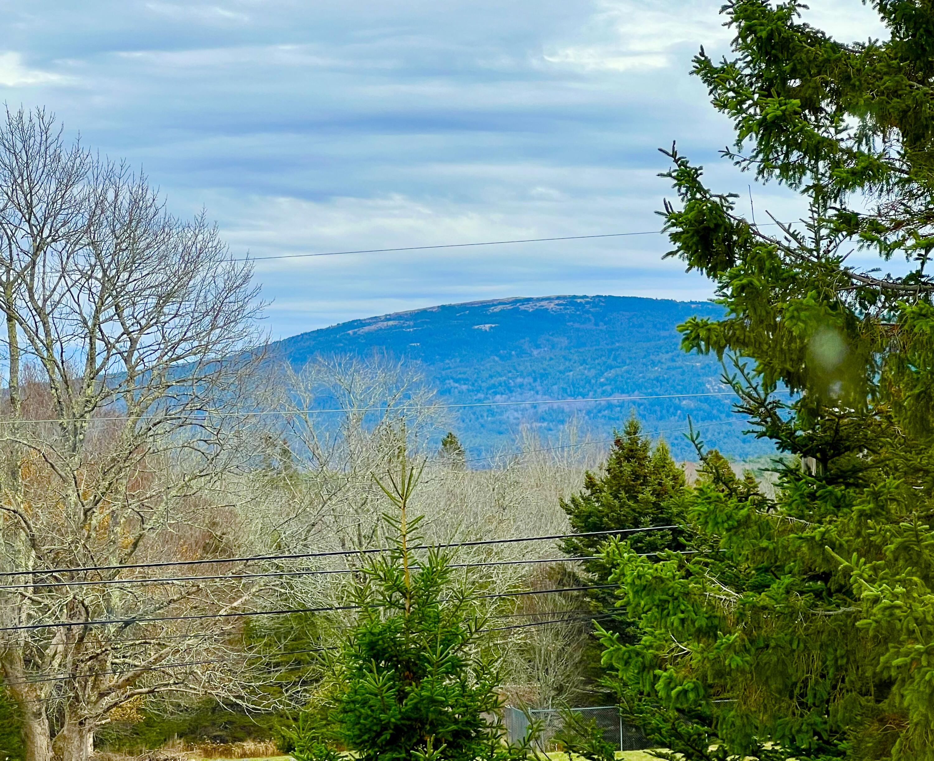 141 Beech Hill Road Mount Desert, ME 04660 - Photo 99 of 113 Sargent Mountain