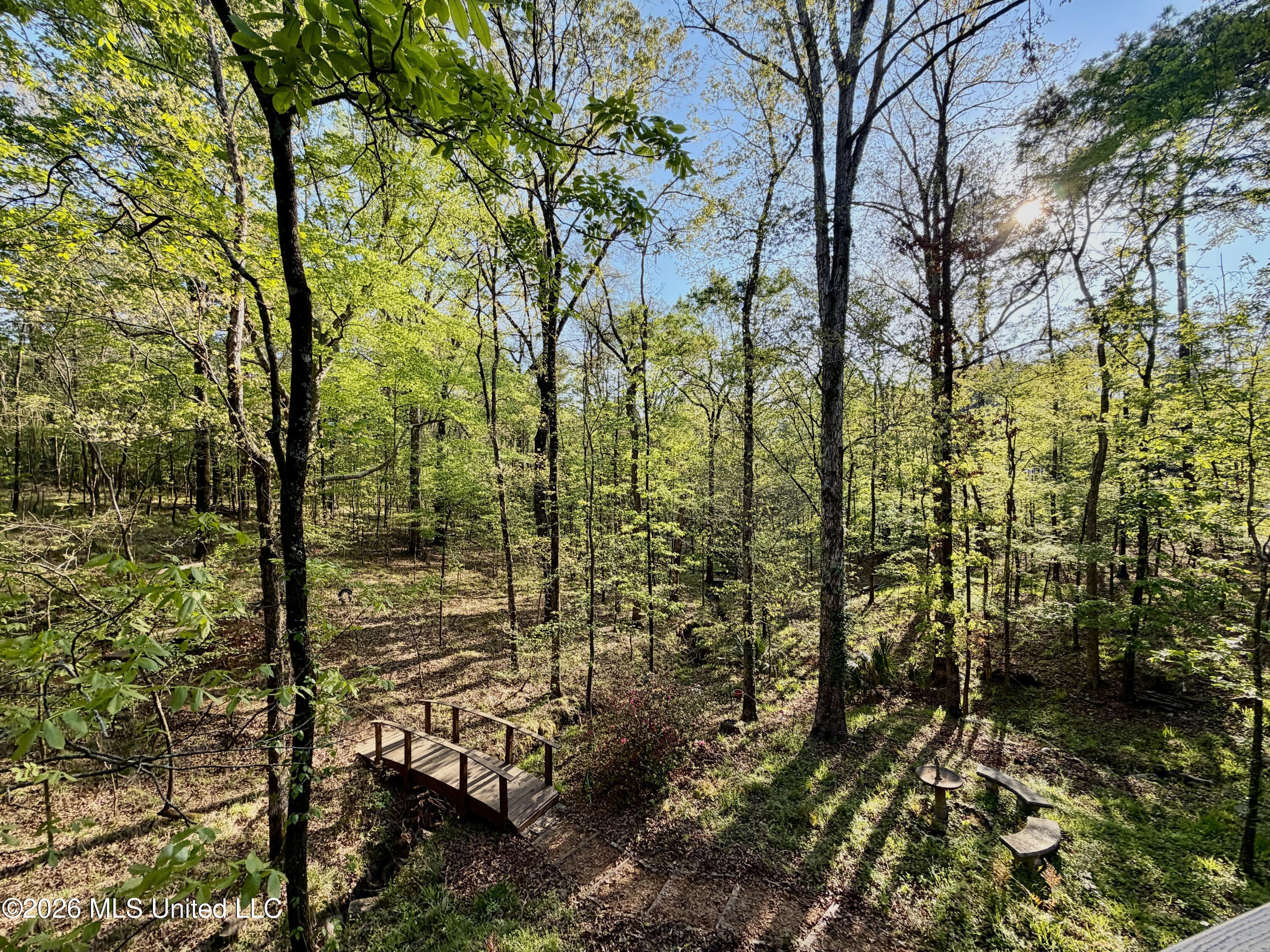 197 Skyline Drive Clinton, MS 39056 - Photo 81 of 90 IMG_1703