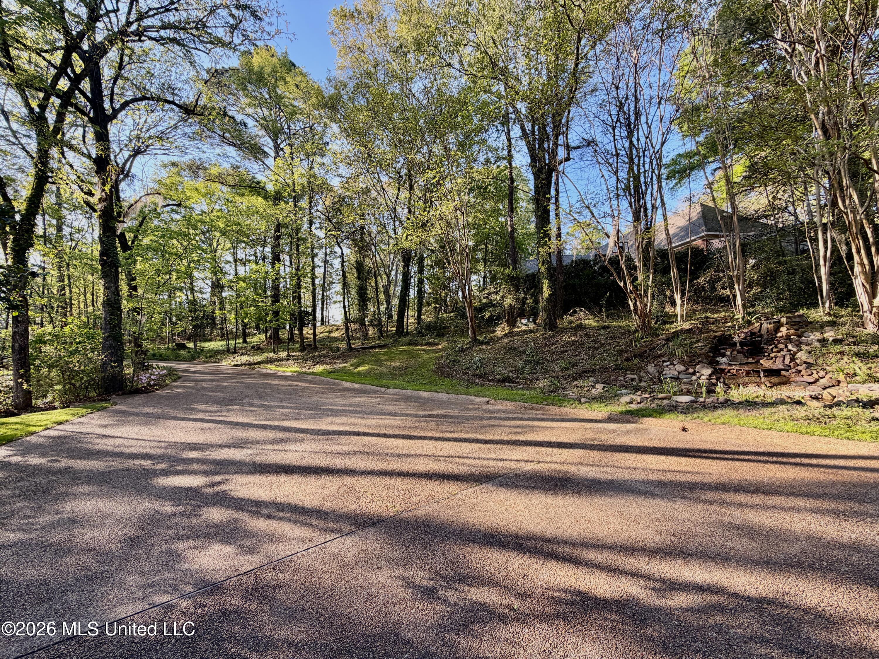 197 Skyline Drive Clinton, MS 39056 - Photo 82 of 90 IMG_1705
