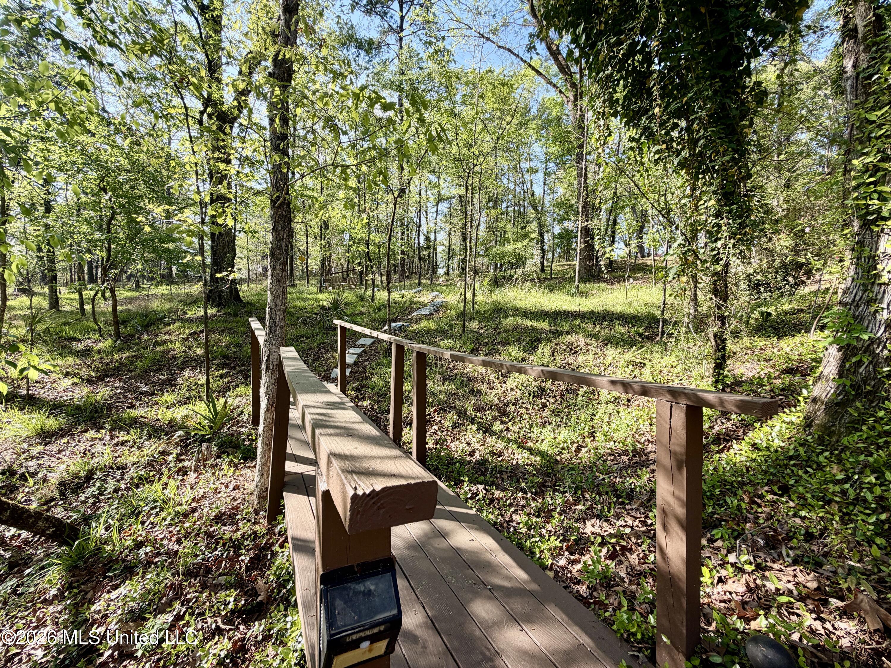 197 Skyline Drive Clinton, MS 39056 - Photo 84 of 90 IMG_1533