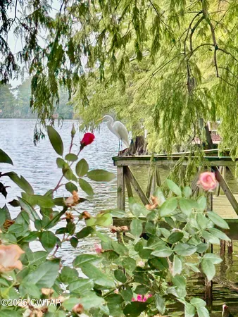 an outdoor space with plants