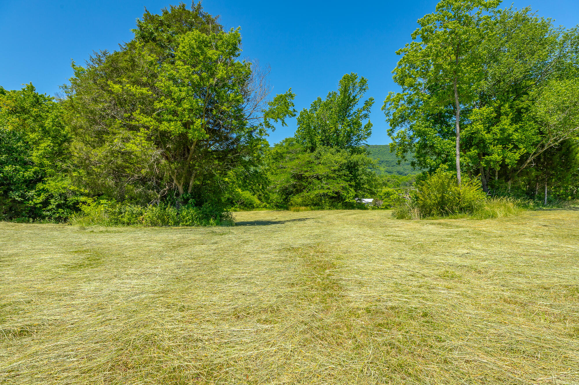 1655 West Cove Road Chickamauga, GA 30707 - Photo 37 of 62 1655 W Cove Road HD-58