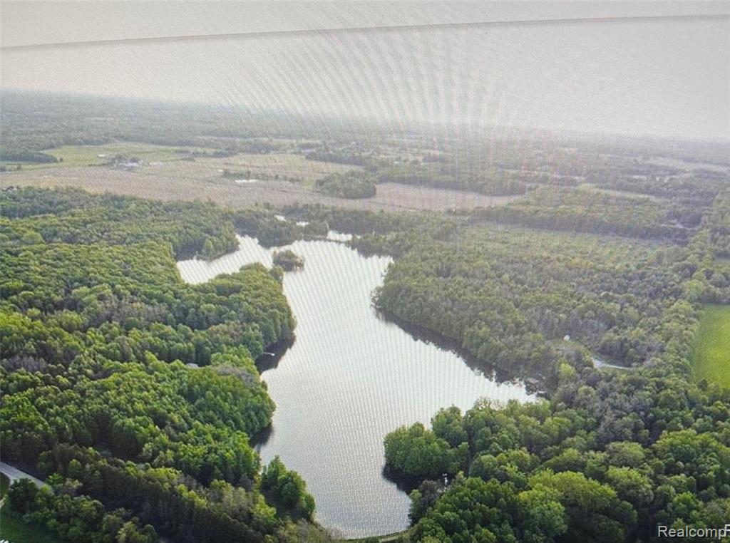 3805 Lee Hill Road Mayville, MI 48744 - Photo 8 of 12