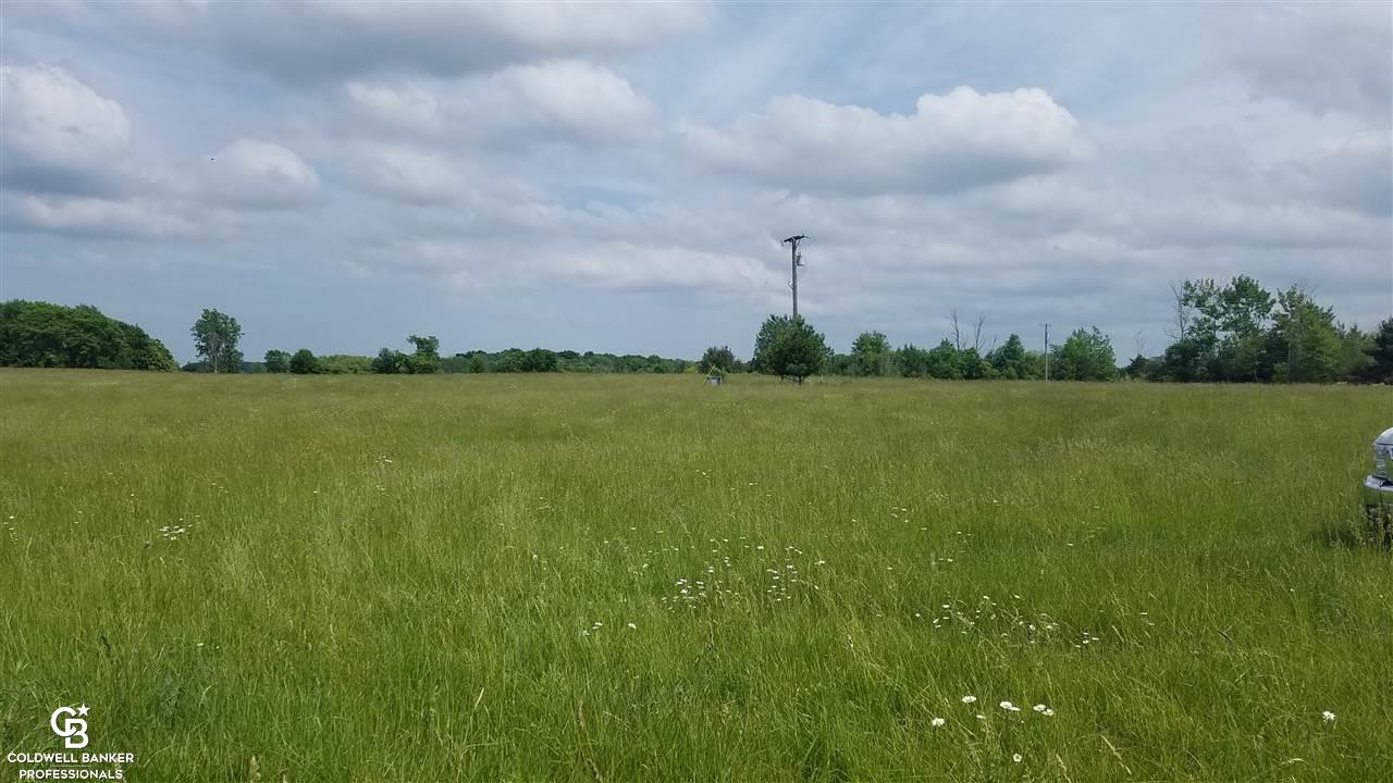 Wellman Line Ville Melvin, MI 48454 - Photo 6 of 16