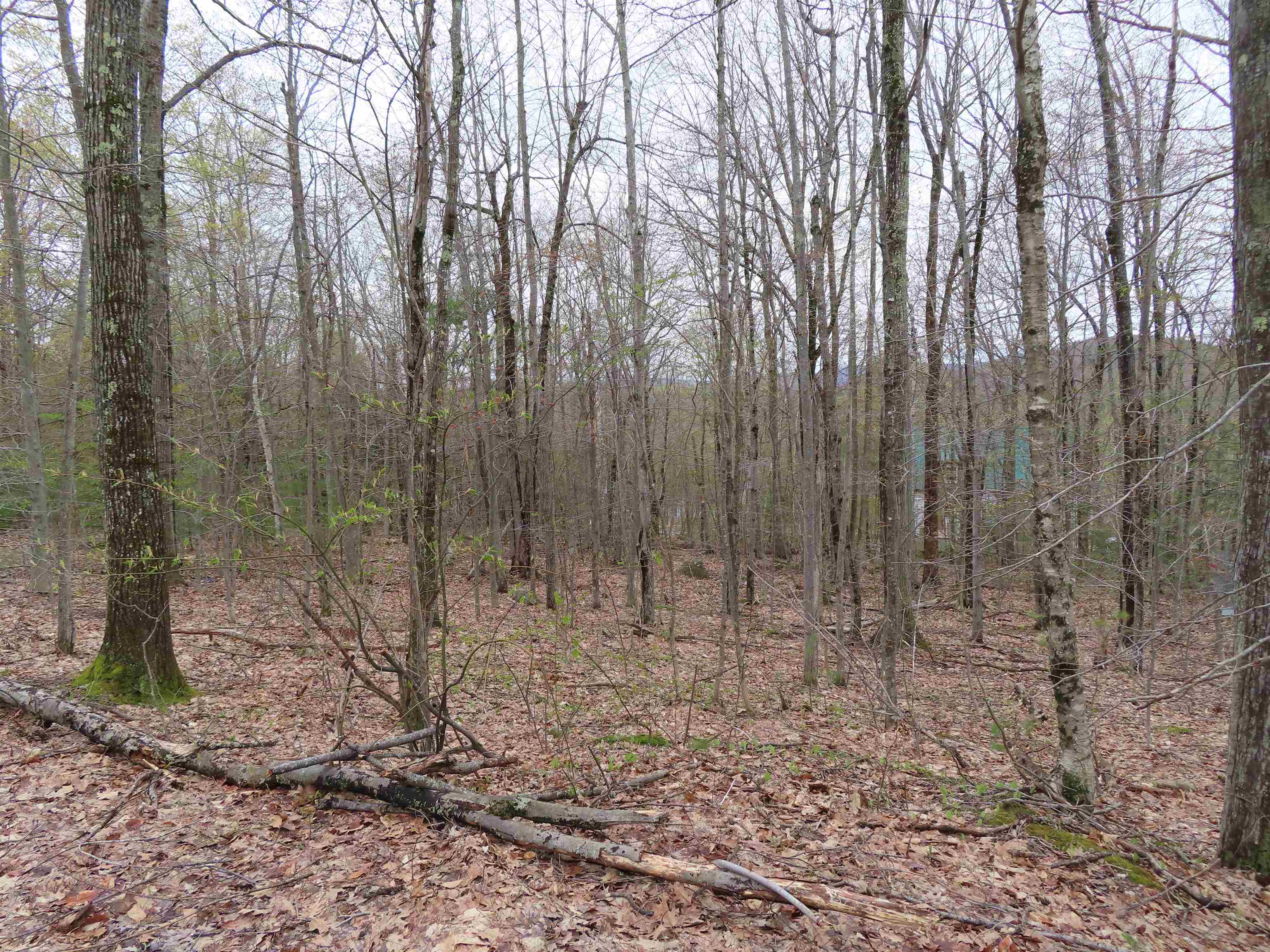 Lot 6 Frohock Brook Road Alton Bay, NH 03810 - Photo 1 of 7 Gallery Image 1