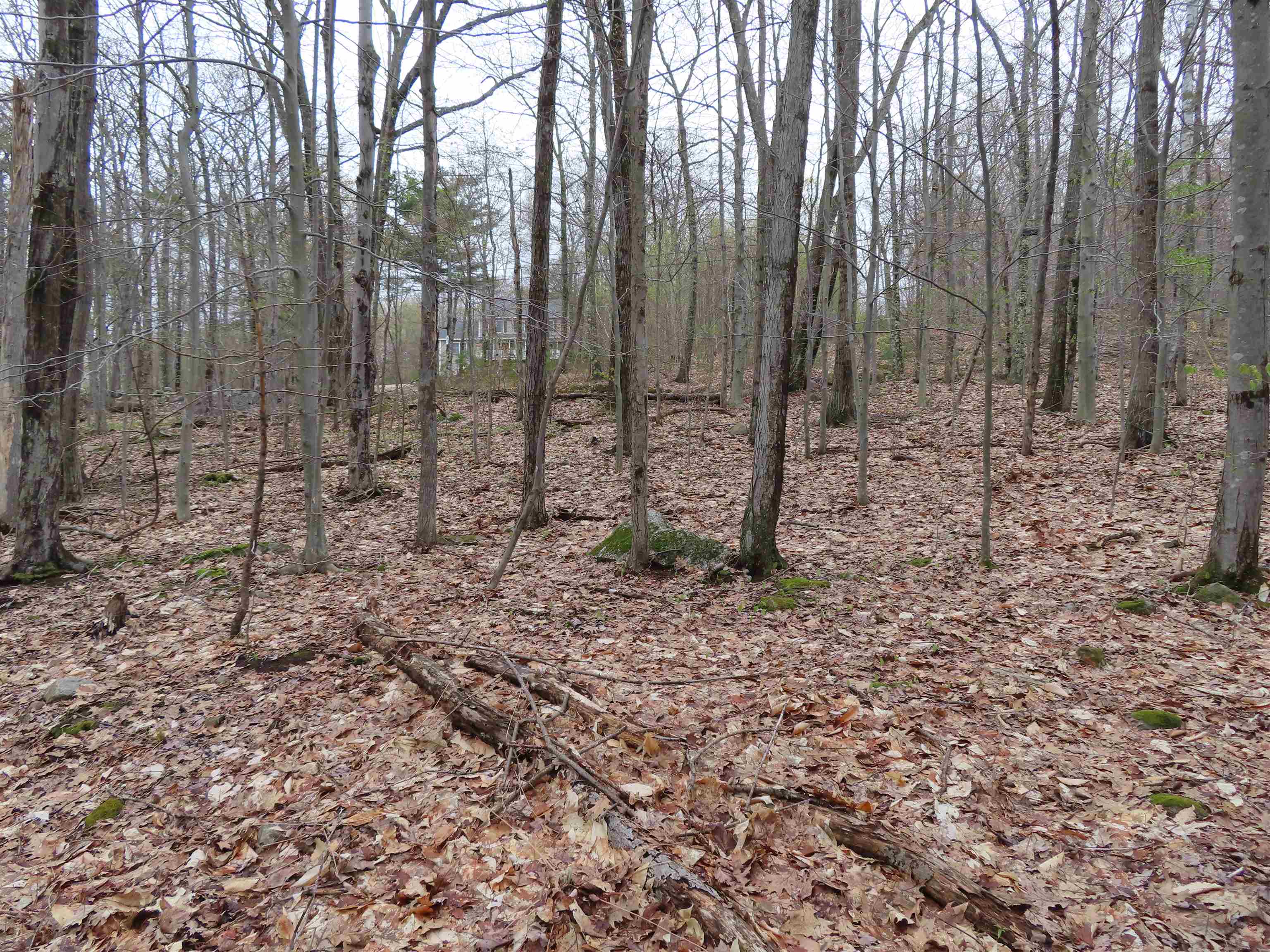 Lot 6 Frohock Brook Road Alton Bay, NH 03810 - Photo 4 of 7 Gallery Image 4