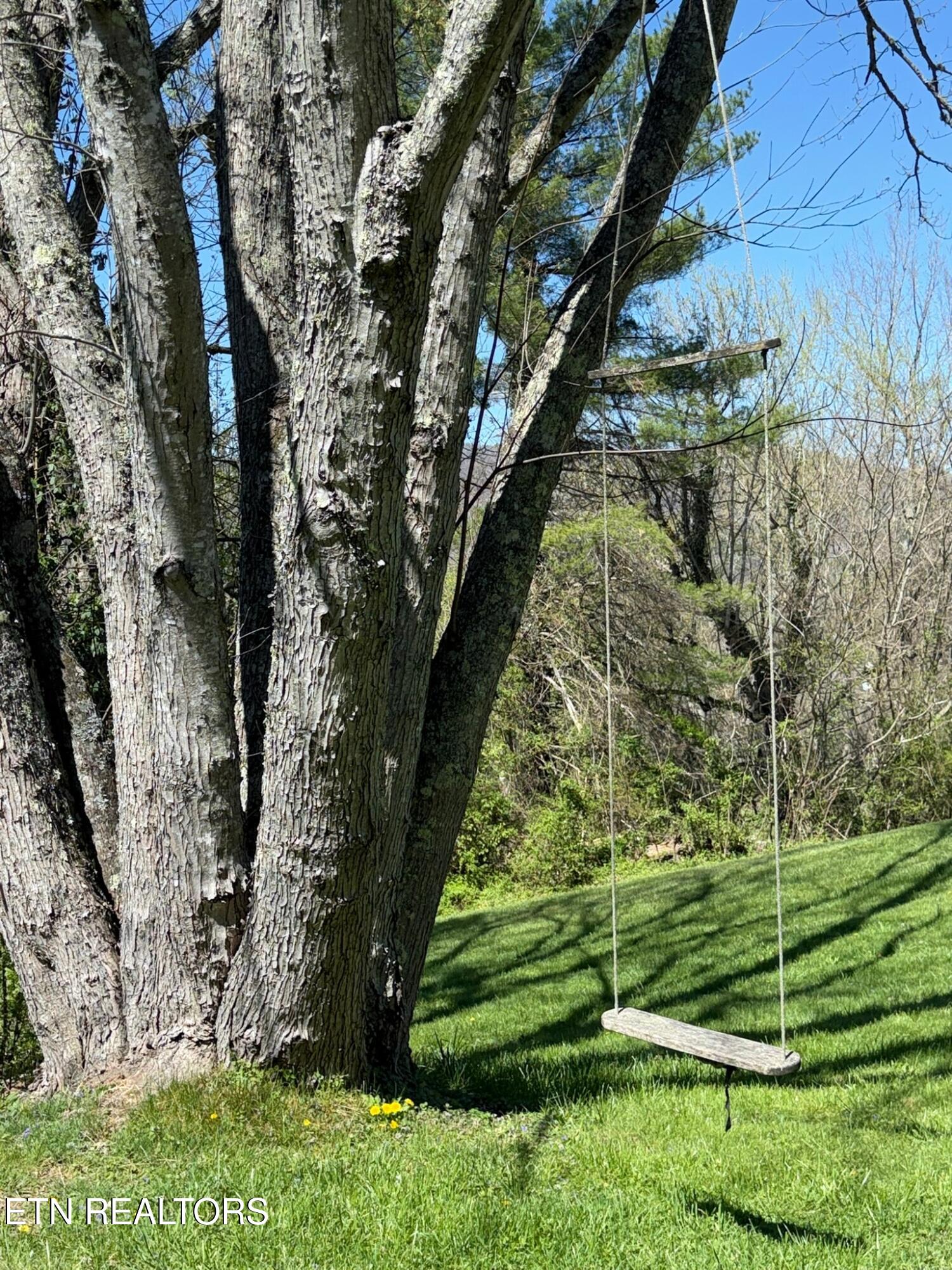 1896 Branam Hill Road Jellico, TN 37762 - Photo 34 of 38 IMG_3532