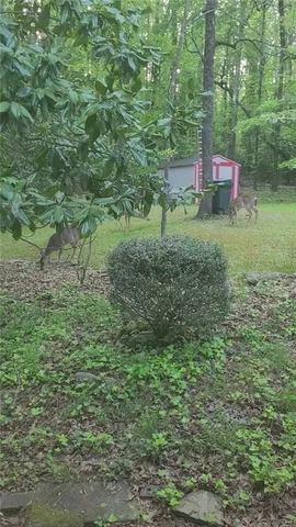a view of an outdoor space and a yard