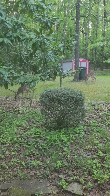 1387 Springdale Road Gainesville, GA 30501 - Photo 41 of 49 a view of an outdoor space and a yard