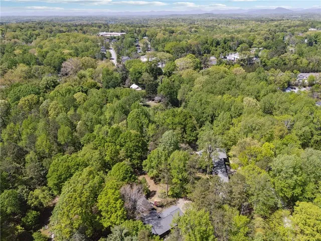 an aerial view of forest
