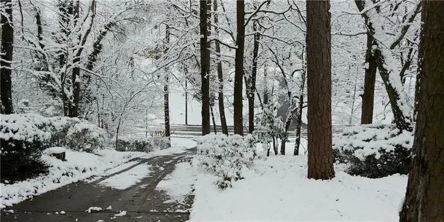 a view of a yard covered in snow