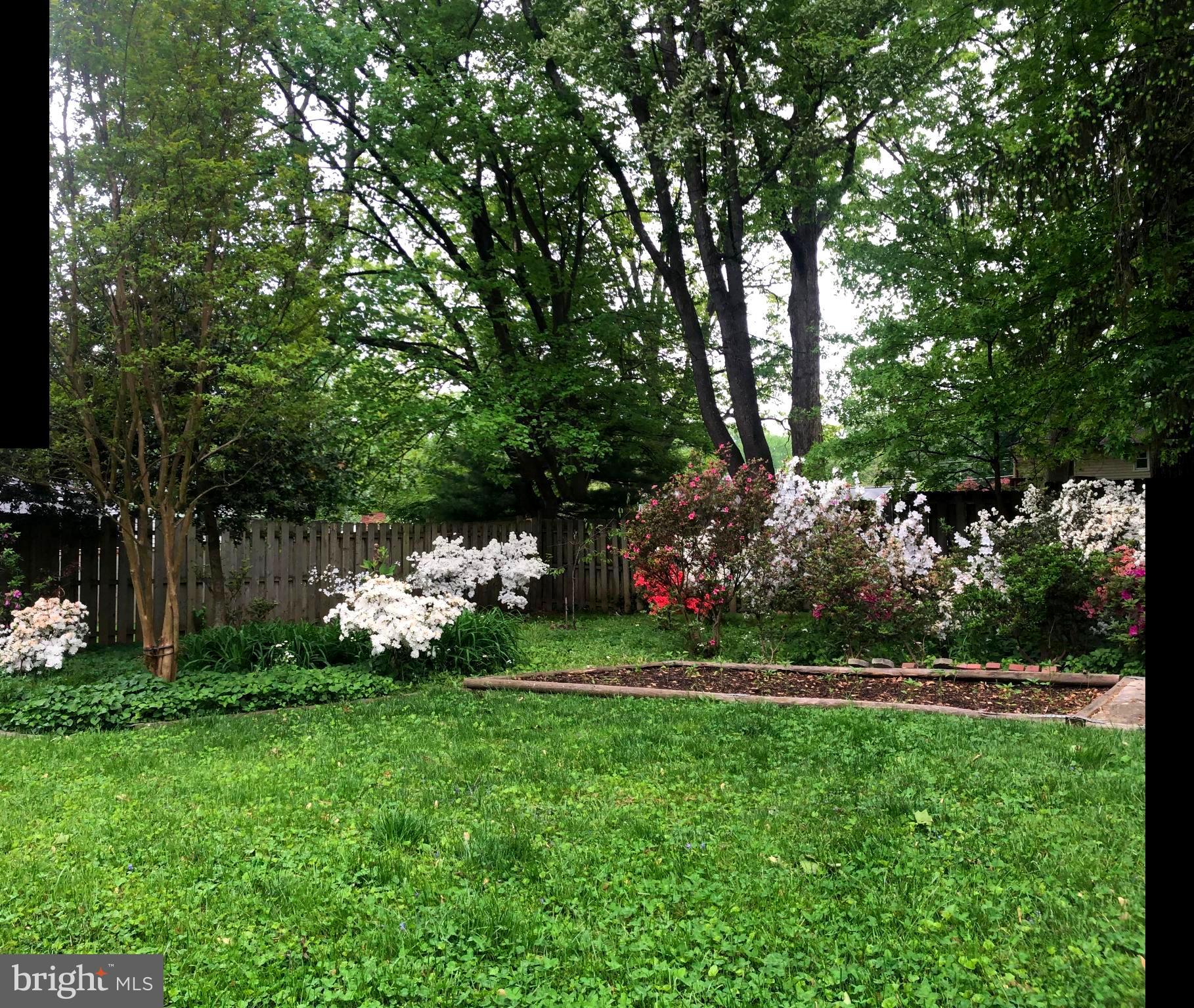 5213 Light Street Springfield, VA 22151 - Photo 3 of 31 year round blooming