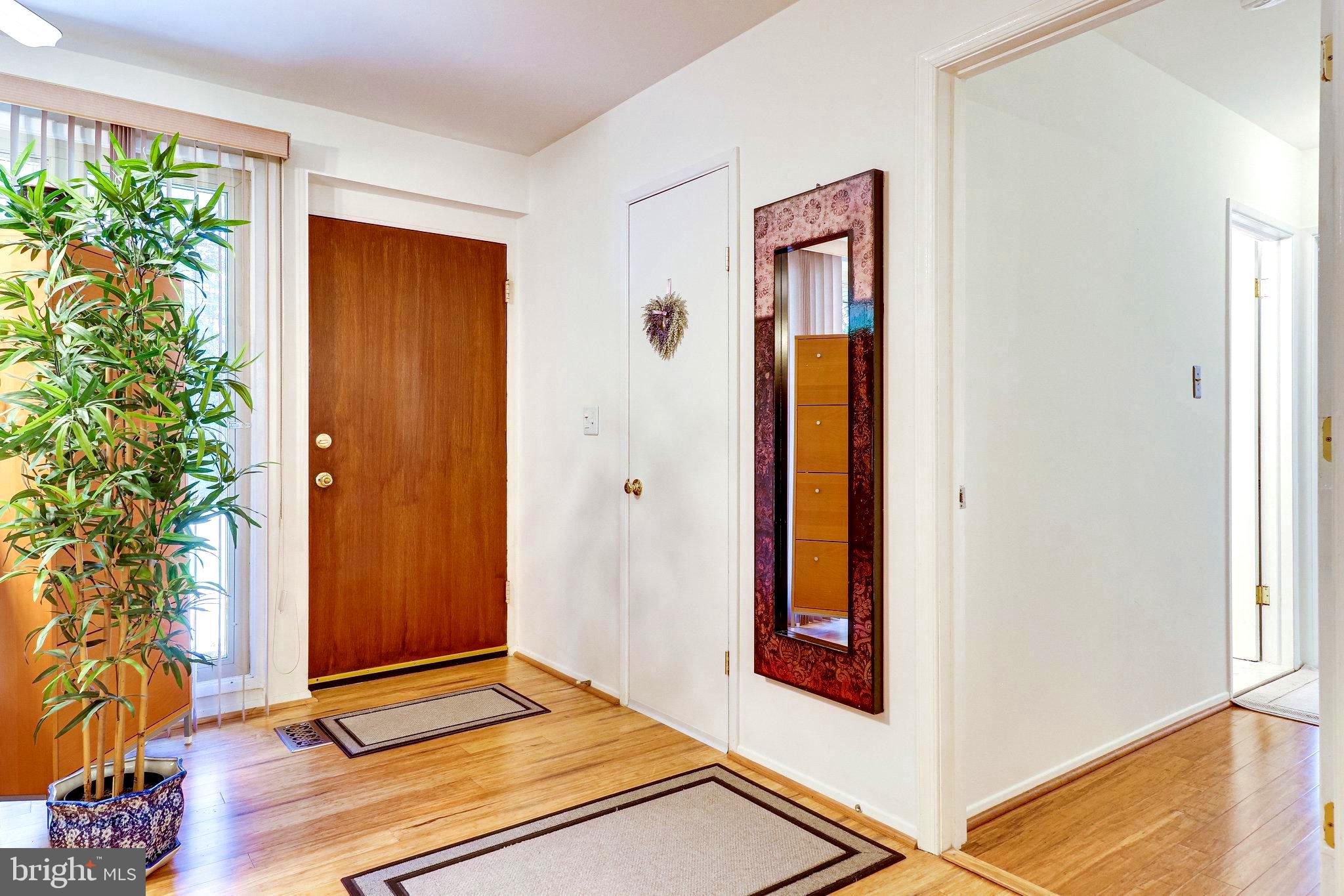 5213 Light Street Springfield, VA 22151 - Photo 5 of 31