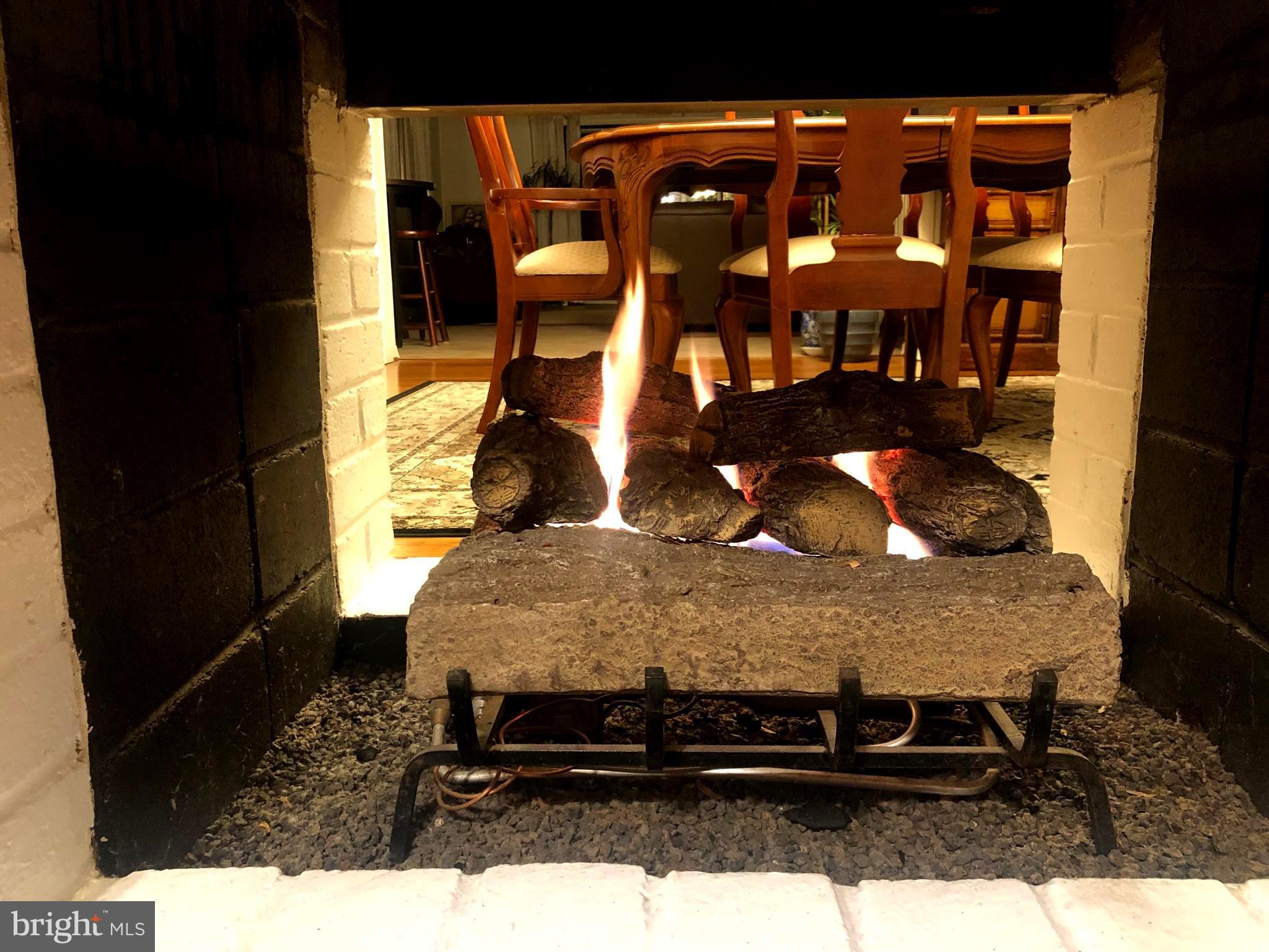 5213 Light Street Springfield, VA 22151 - Photo 9 of 31 Flame view from the kitchen