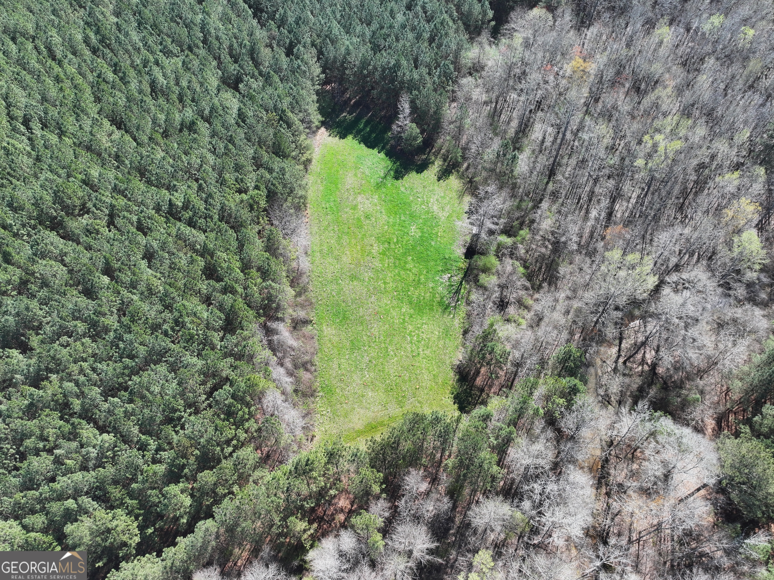 257 Acres On Ridgeway Road Franklin, GA 30217 - Photo 19 of 28