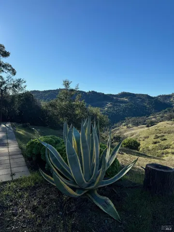 a view of a backyard