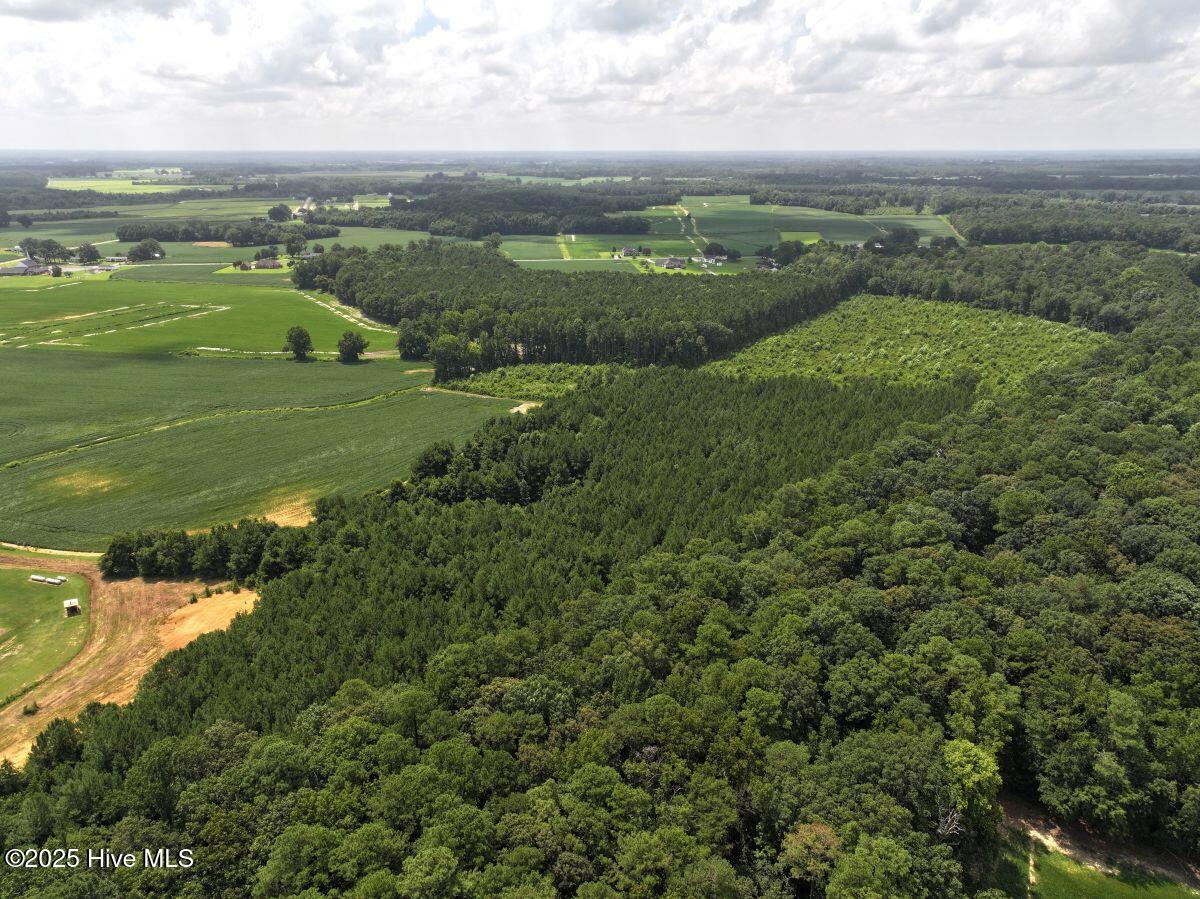 0 Old Mill Road Stantonsburg, NC 27883 - Photo 14 of 41 14