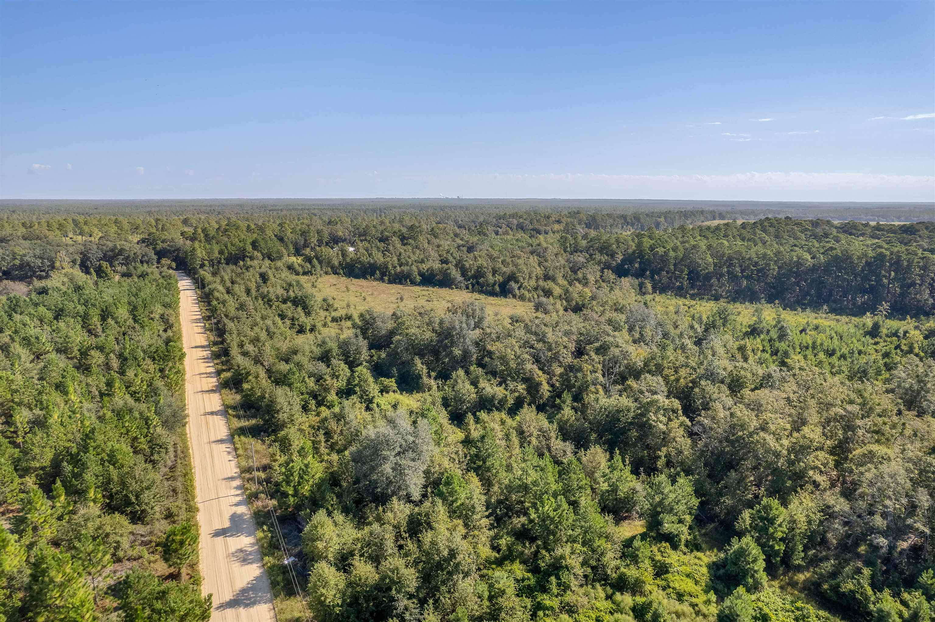0 Northeast Old Valdosta Road Pinetta, FL 32350 - Photo 1 of 12 Gallery Image 1