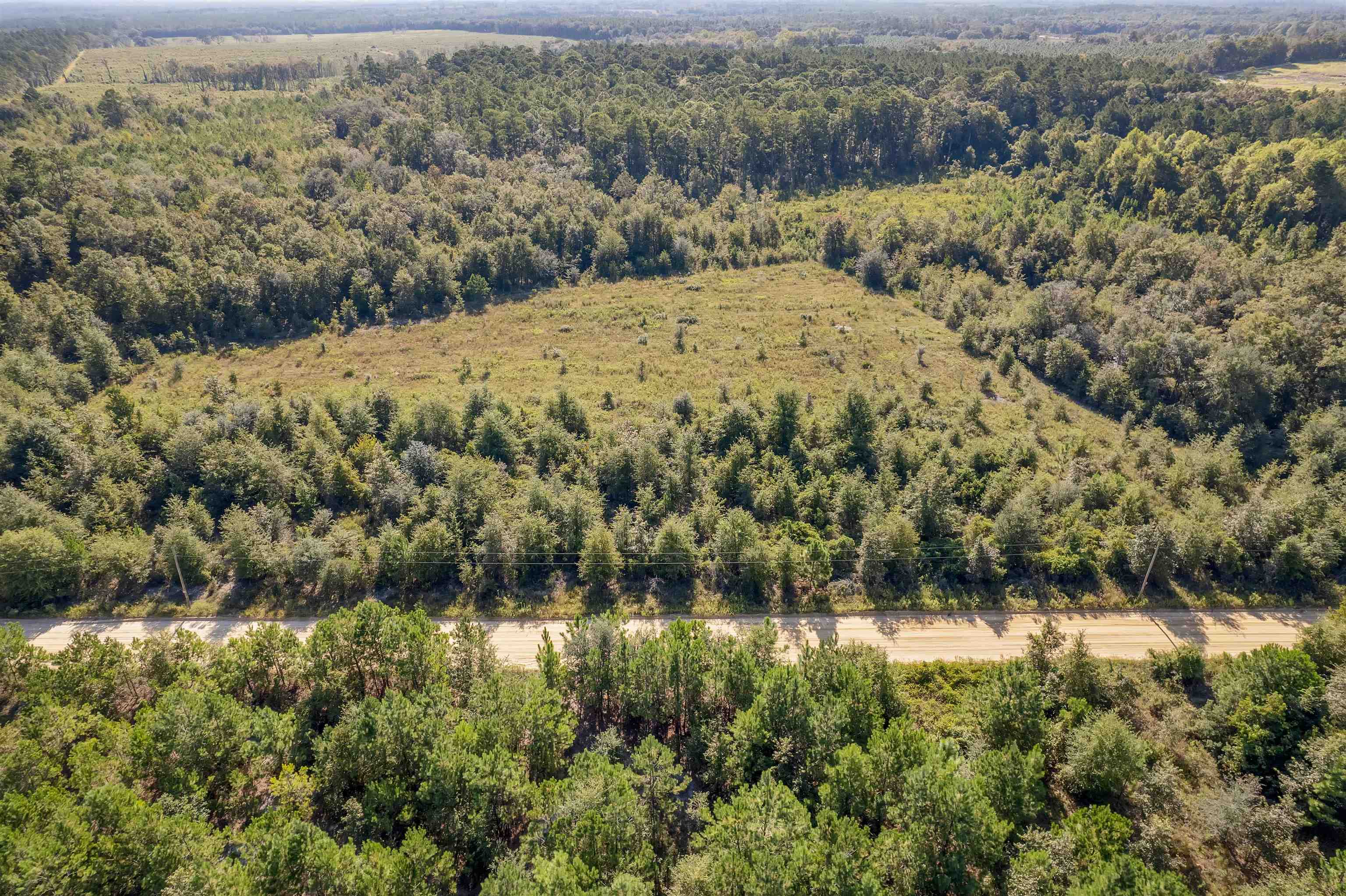 0 Northeast Old Valdosta Road Pinetta, FL 32350 - Photo 3 of 12 Gallery Image 3