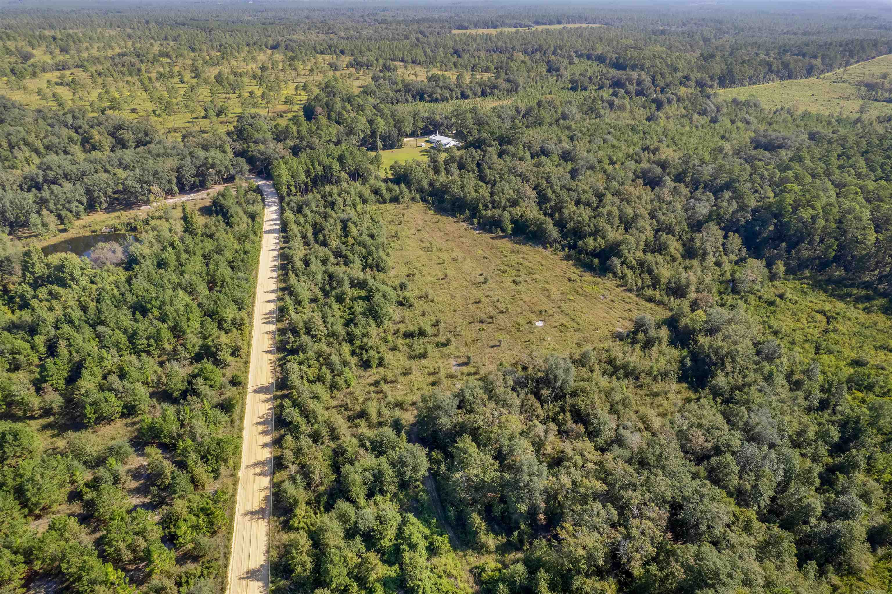0 Northeast Old Valdosta Road Pinetta, FL 32350 - Photo 4 of 12 Gallery Image 4