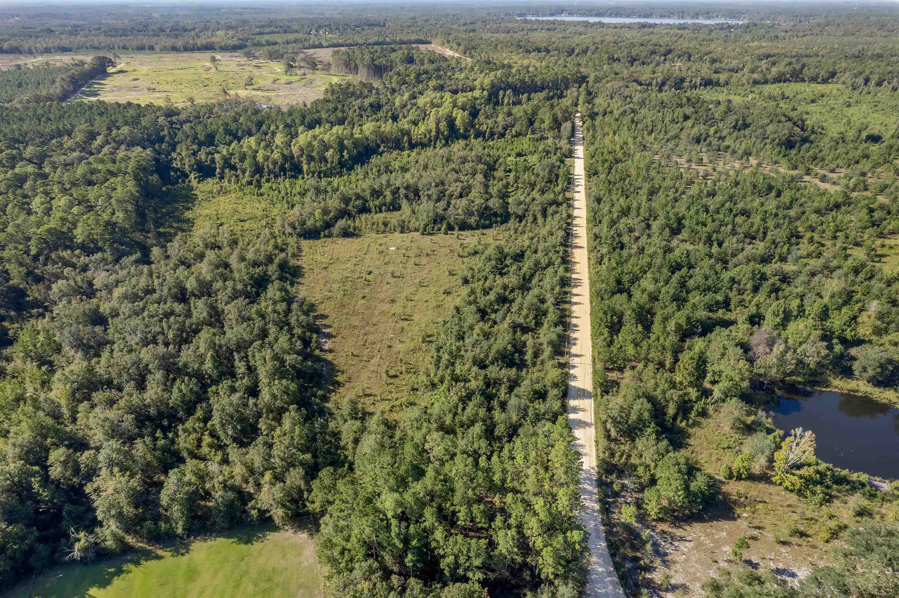 0 Northeast Old Valdosta Road Pinetta, FL 32350 - Photo 6 of 12 Gallery Image 6