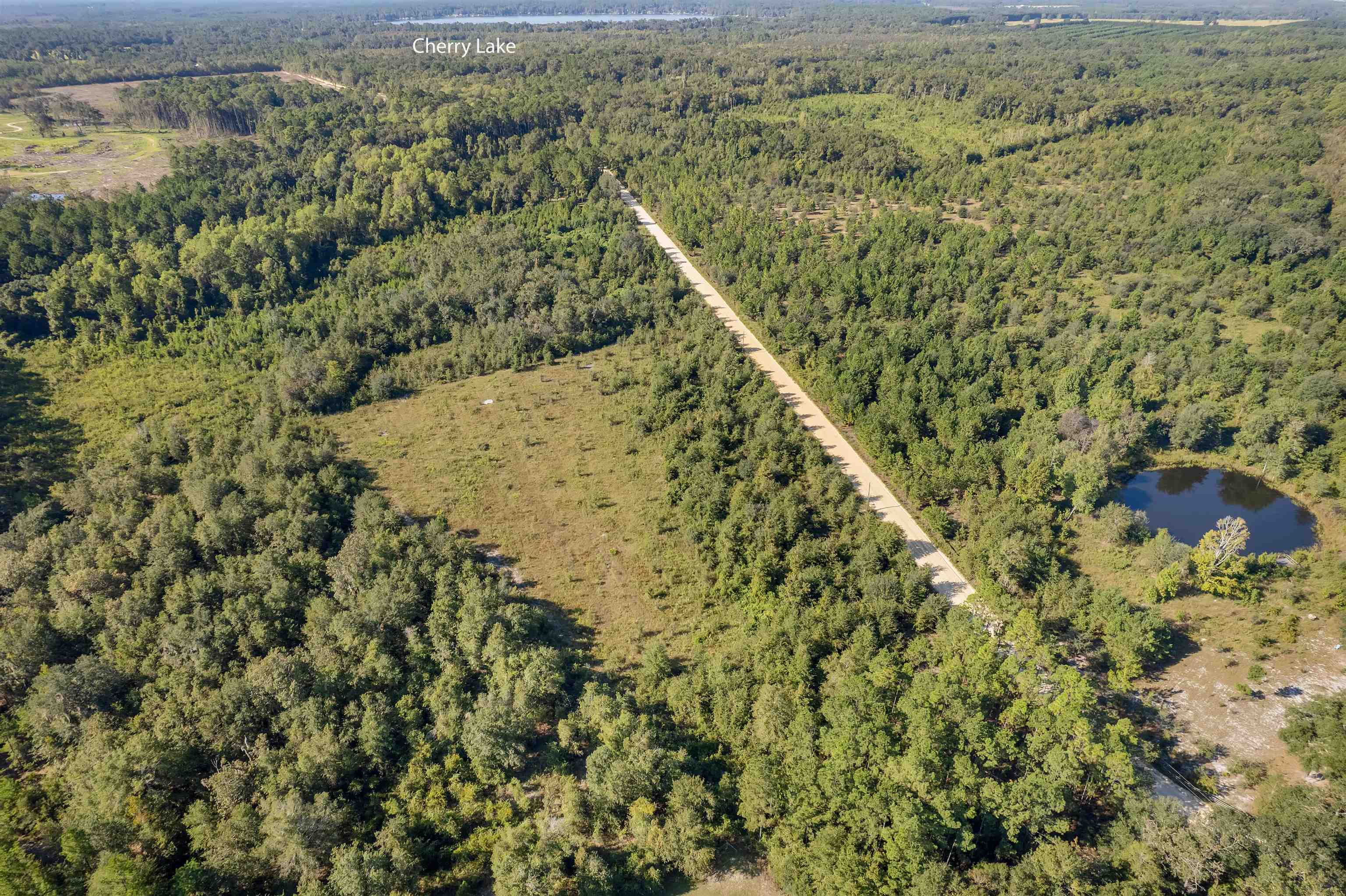 0 Northeast Old Valdosta Road Pinetta, FL 32350 - Photo 7 of 12 Gallery Image 7