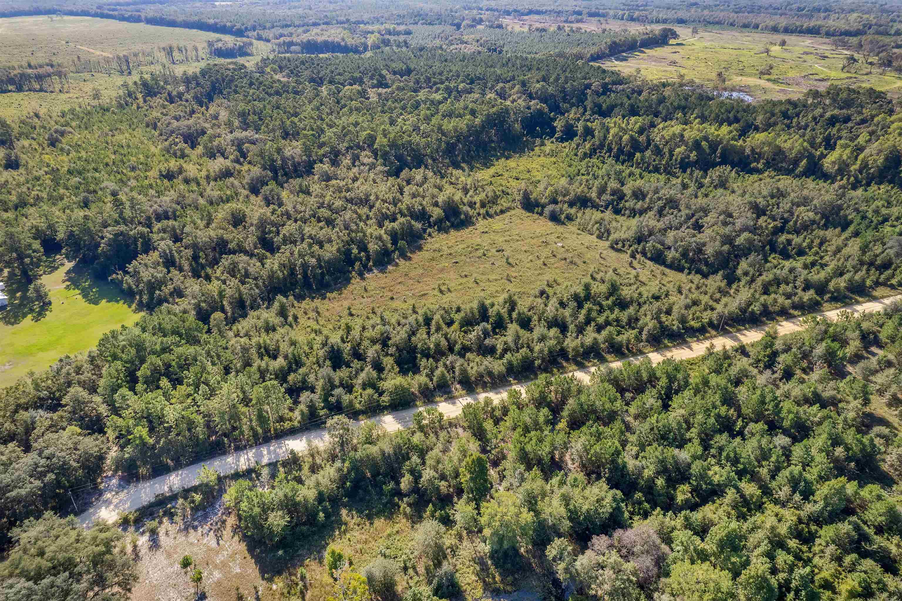 0 Northeast Old Valdosta Road Pinetta, FL 32350 - Photo 8 of 12 Gallery Image 8