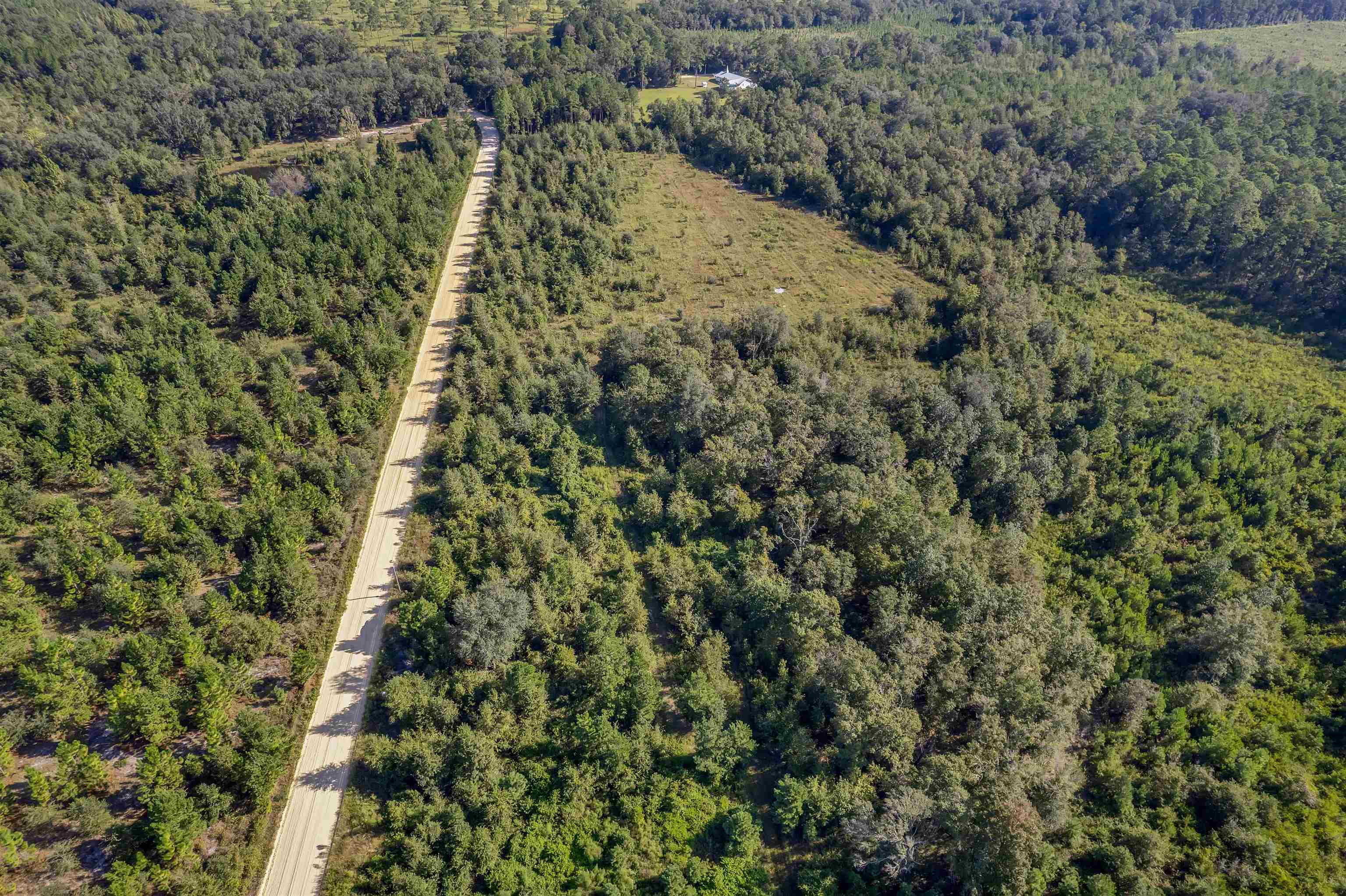 0 Northeast Old Valdosta Road Pinetta, FL 32350 - Photo 9 of 12 Gallery Image 9