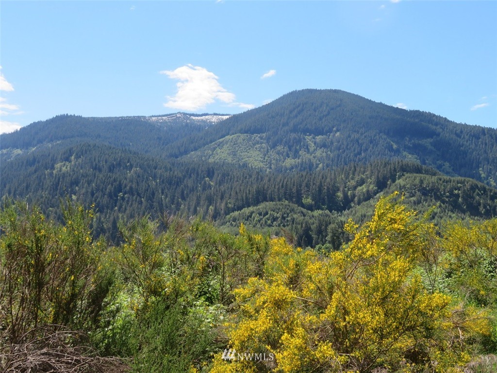 -xxx River Ranch Road Randle, WA 98377 - Photo 13 of 19 Gallery Image 13
