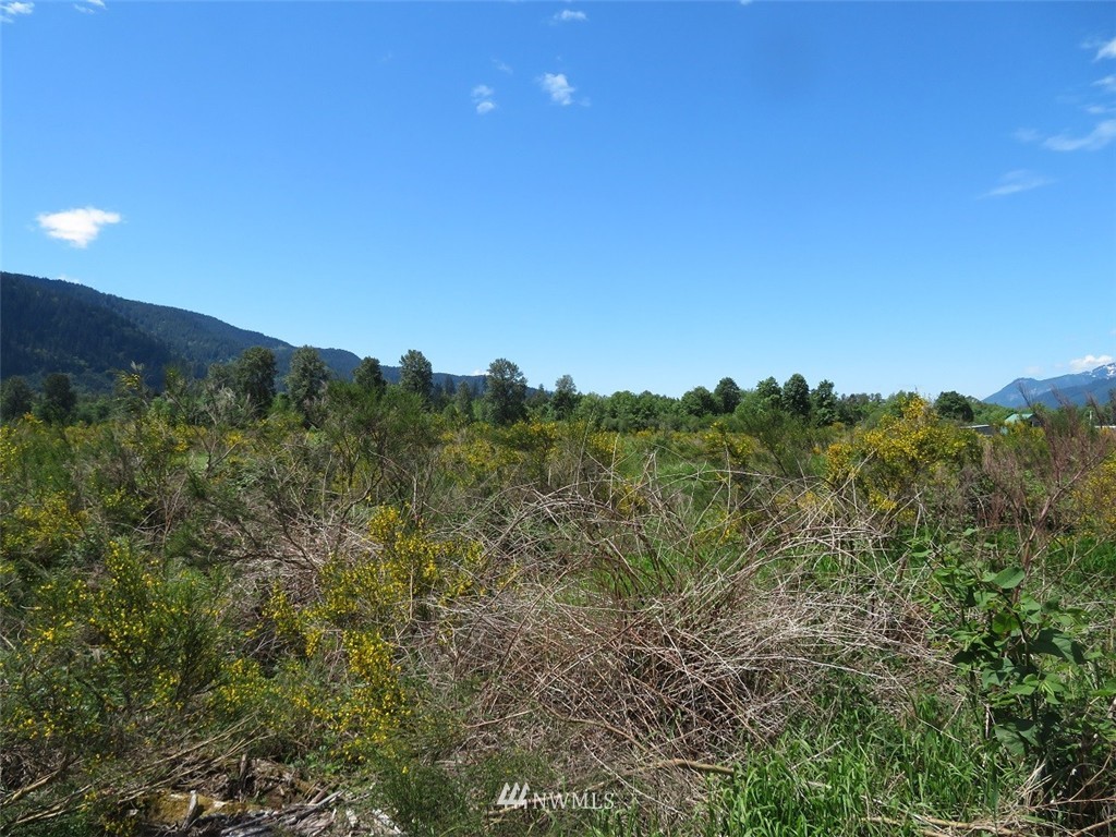 -xxx River Ranch Road Randle, WA 98377 - Photo 15 of 19 Gallery Image 15