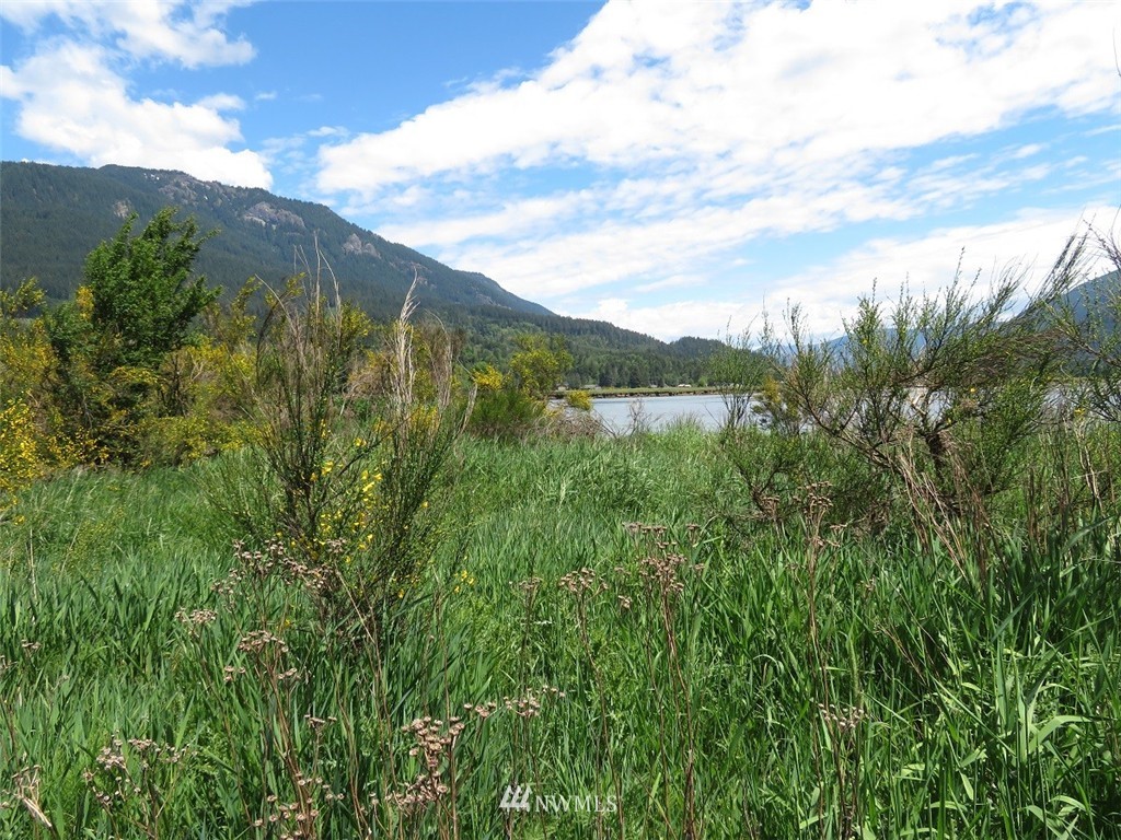 -xxx River Ranch Road Randle, WA 98377 - Photo 17 of 19 Gallery Image 17
