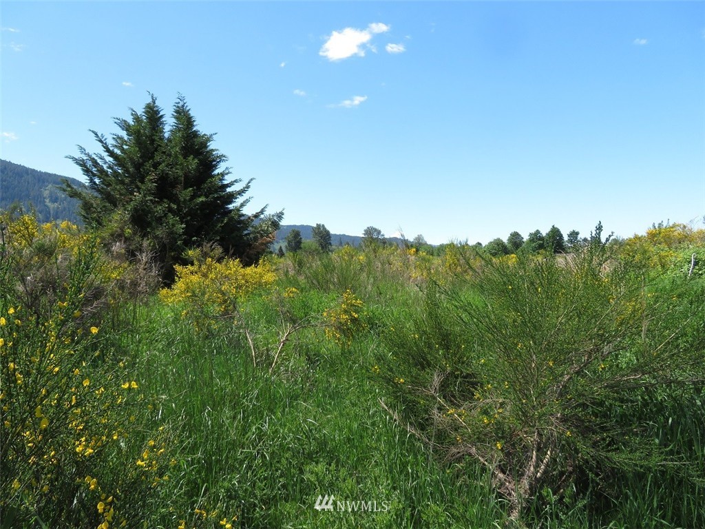 -xxx River Ranch Road Randle, WA 98377 - Photo 18 of 19 Gallery Image 18