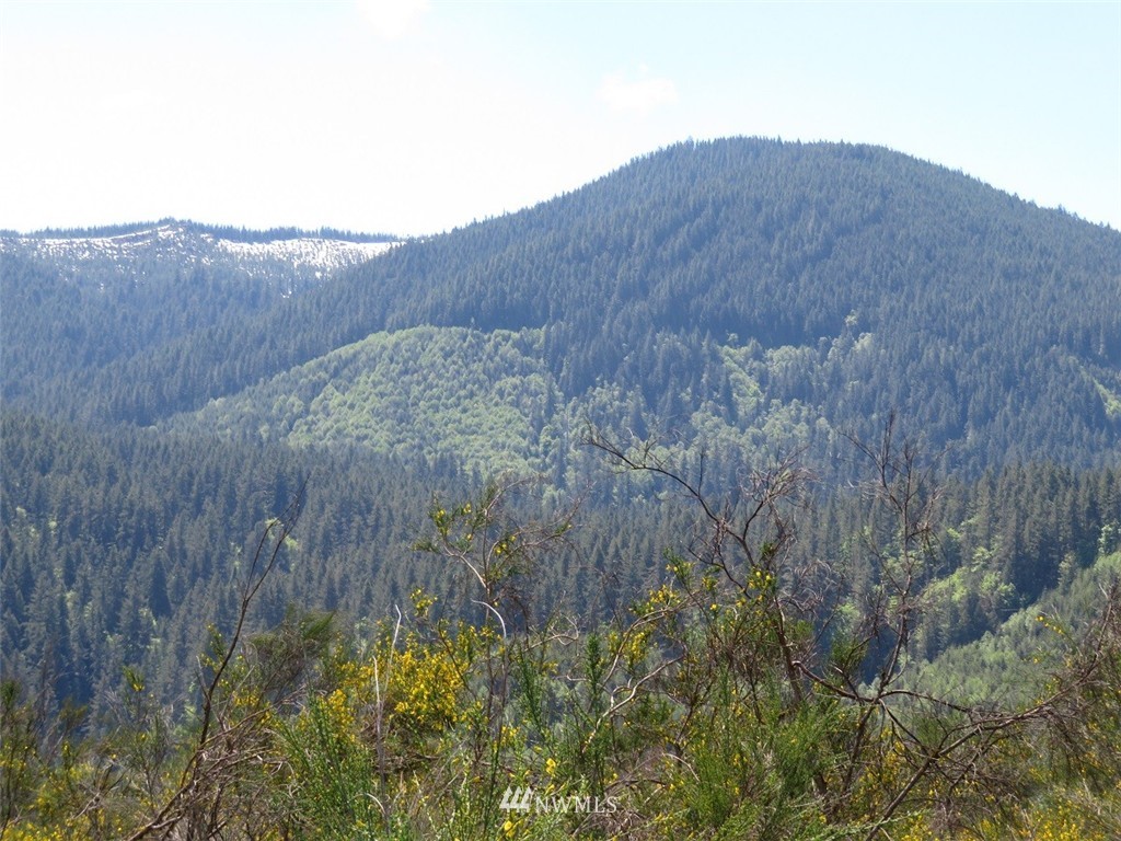 -xxx River Ranch Road Randle, WA 98377 - Photo 9 of 19 Gallery Image 9
