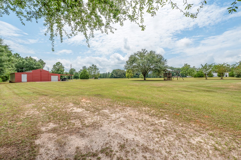 809 Leddon Road Samson, AL 36477 - Photo 4 of 36