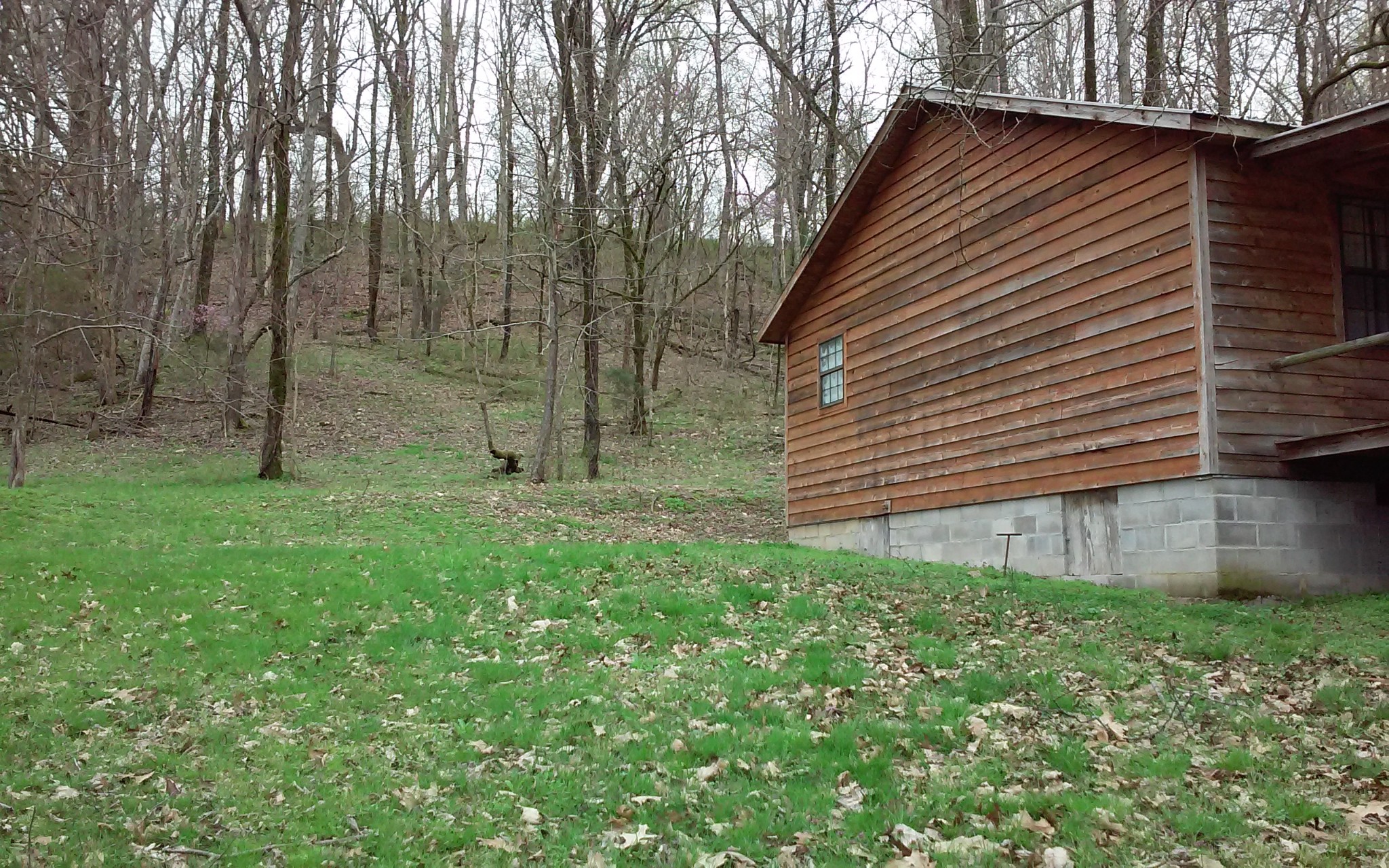 8200 Bethel Road Prospect, TN 38477 - Photo 13 of 50 a view of a house with a backyard