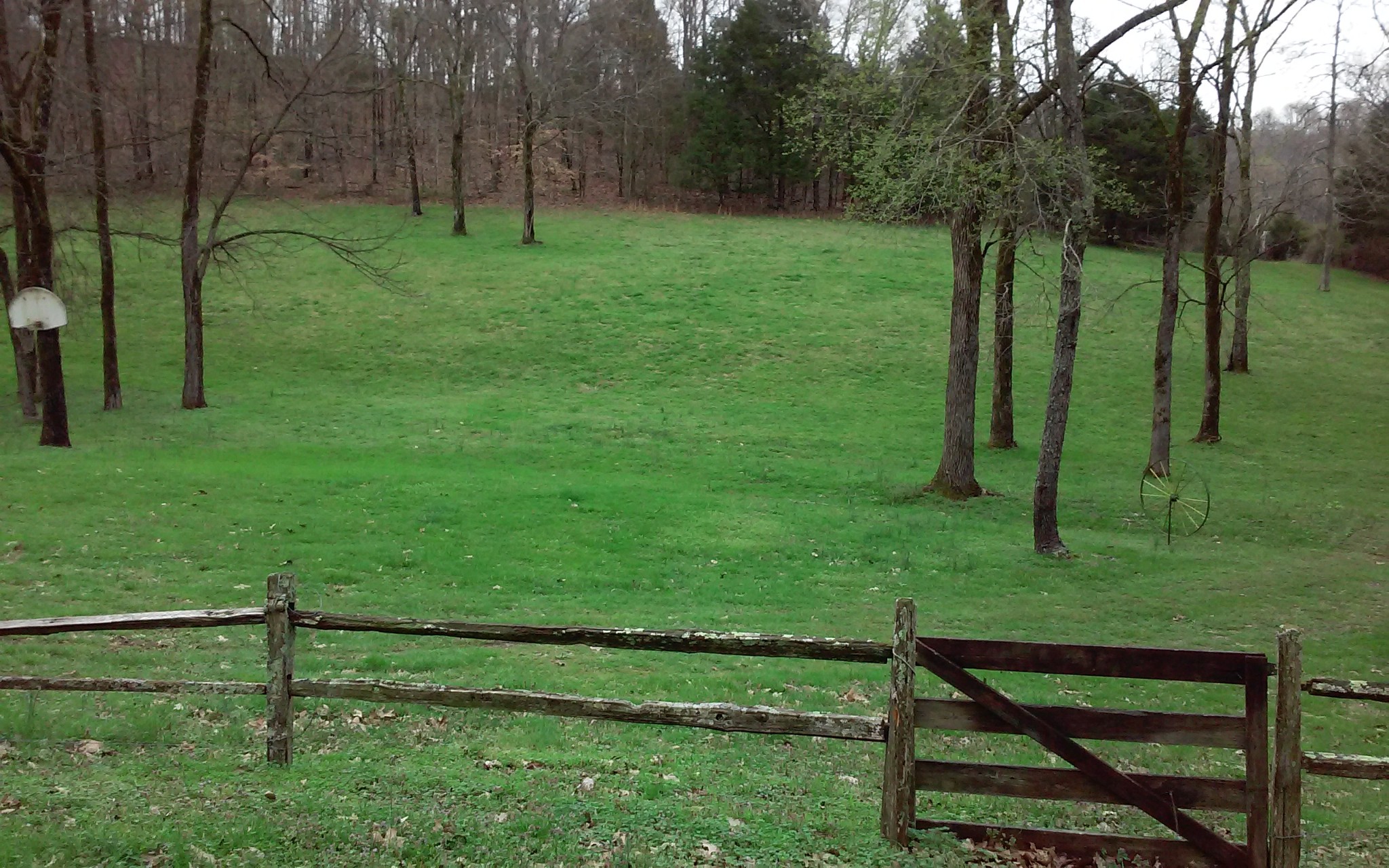8200 Bethel Road Prospect, TN 38477 - Photo 14 of 50 a view of green field