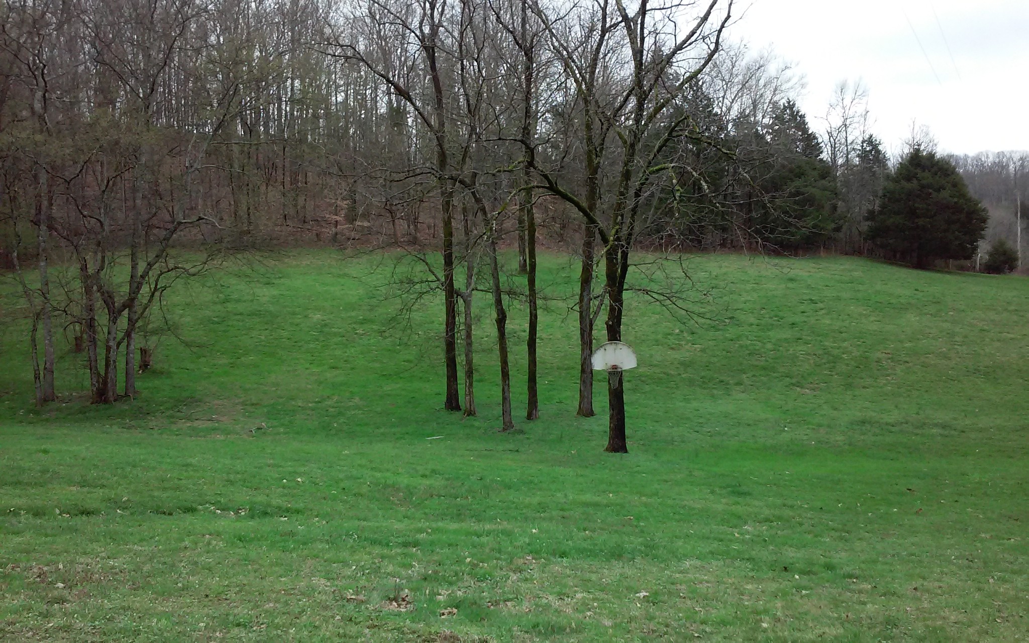 8200 Bethel Road Prospect, TN 38477 - Photo 15 of 50 a backyard of a house with plants and large trees