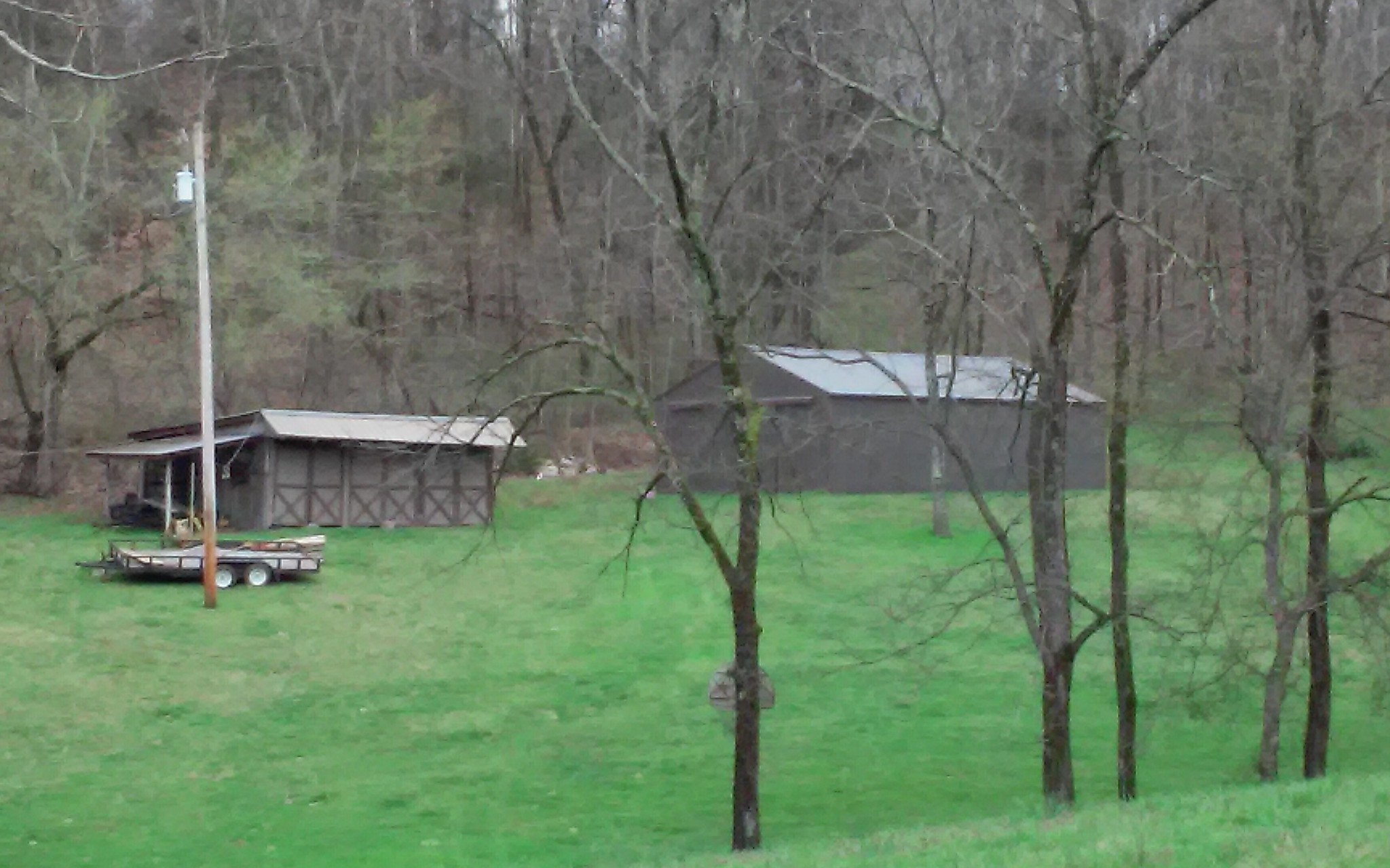 8200 Bethel Road Prospect, TN 38477 - Photo 3 of 50 a view of a backyard with couches under an umbrella